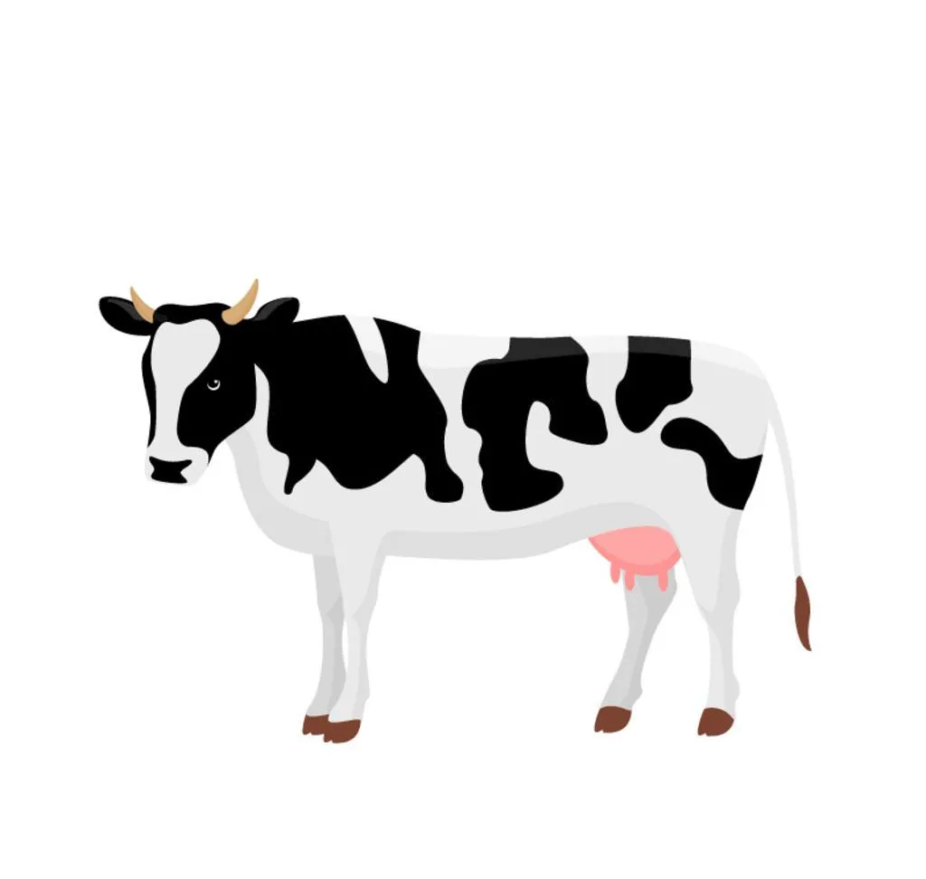 Корова векторное изображение