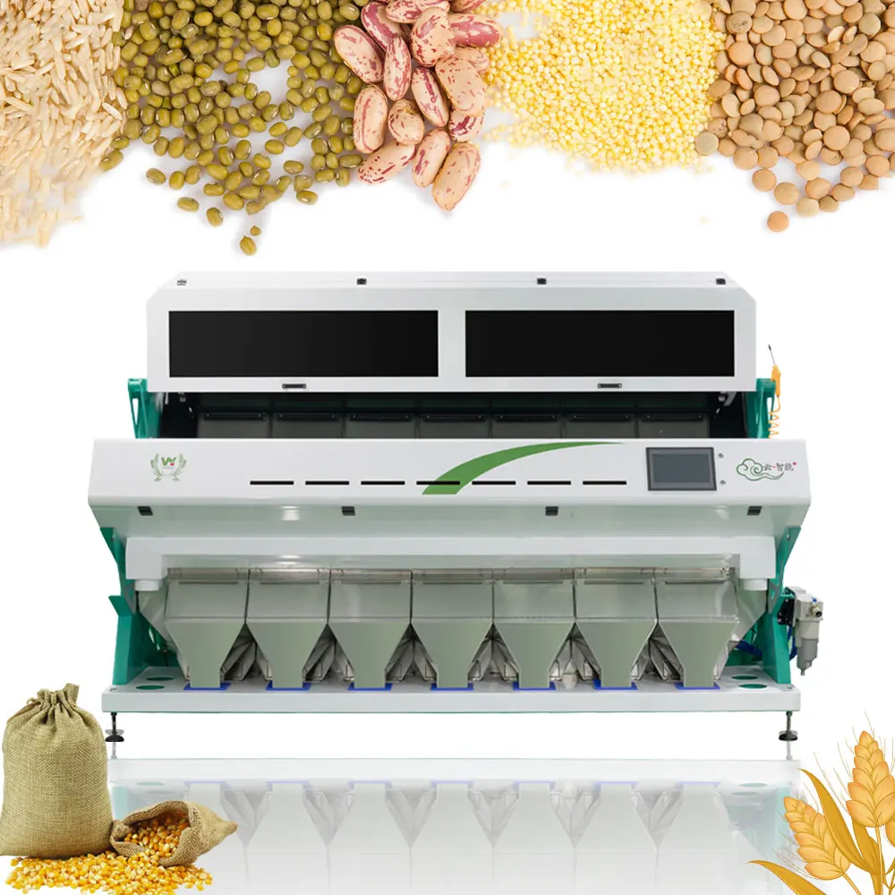 Grain Sunflower Seeds Color Sorter Optical Ccd Color Sorting Machine True Color Selection