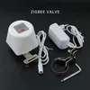 White ZigBee