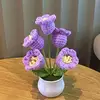 Purple 5 tulips