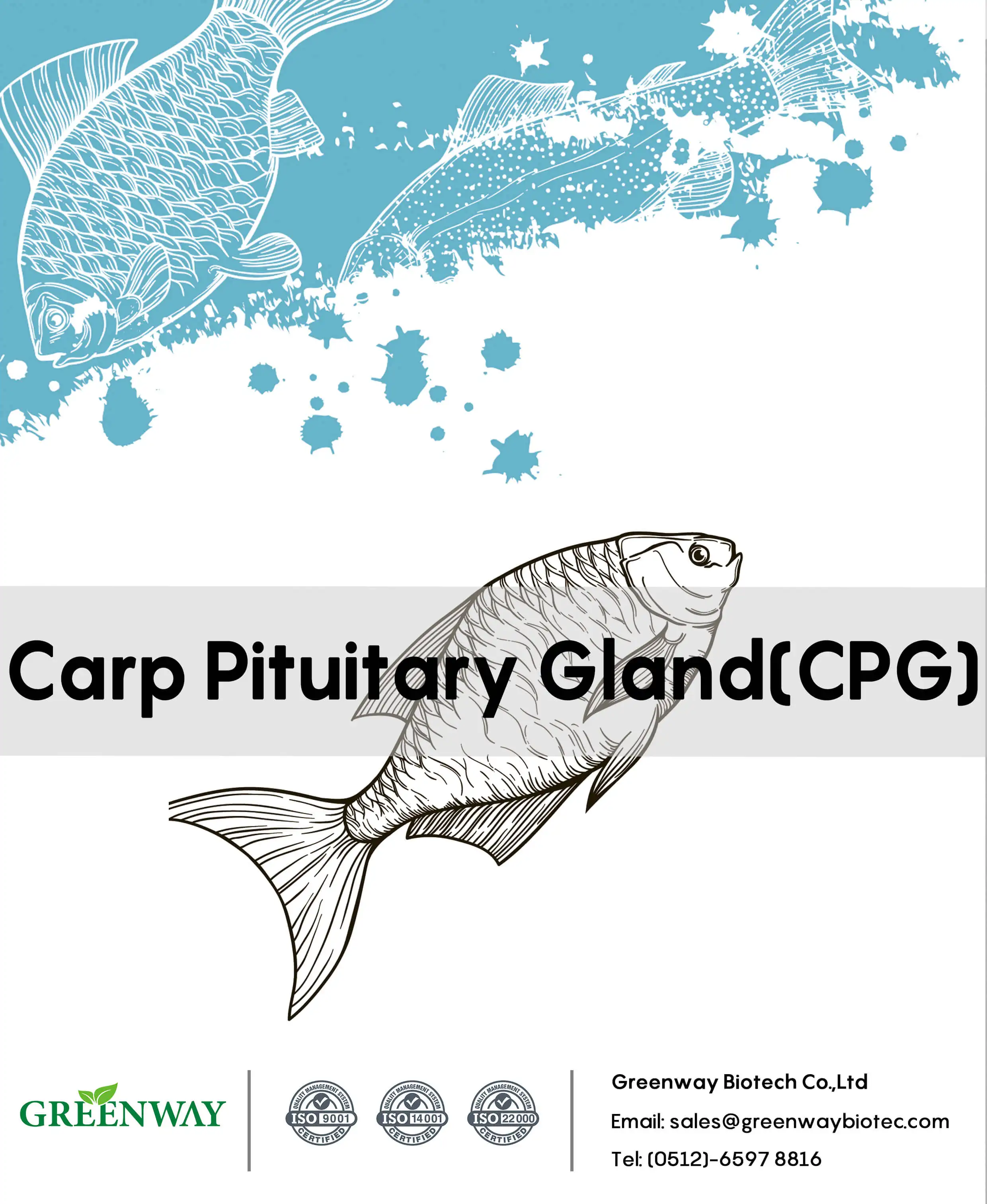 Common Carp Pituitary Gland Extract for Fish Bleeding