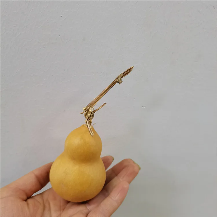 DFS51 Splicing Gourd High Quality INS Popular Natural Dried Flowers Calabash Gourd & Lagenaria Siceraria for Home Decor