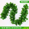90-leaf begonia leaves [5 leaves]