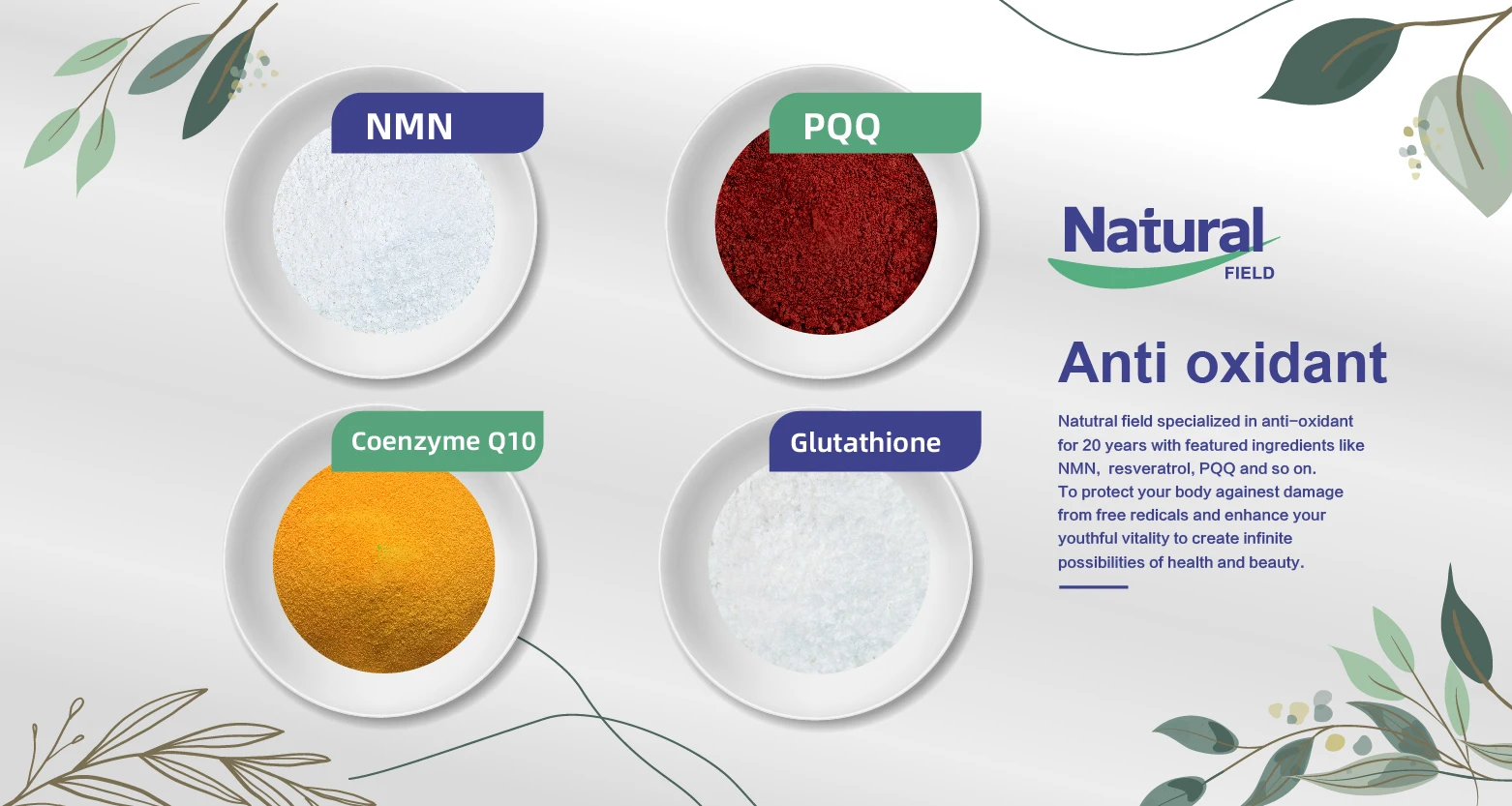 NMN Factory Supply NMN Skin Care Powder Individually Packaged NMN ...