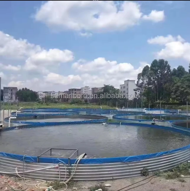 Tilapia Aquaculture Pisciculture Commercial Farm Fish Pond Tank for Fish  Farming