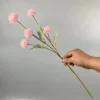 Rosa claro