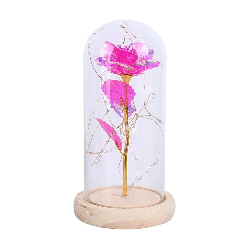 Black Solid Wood/ Glass Bases Bell Jars Display Cloche Glass Dome With