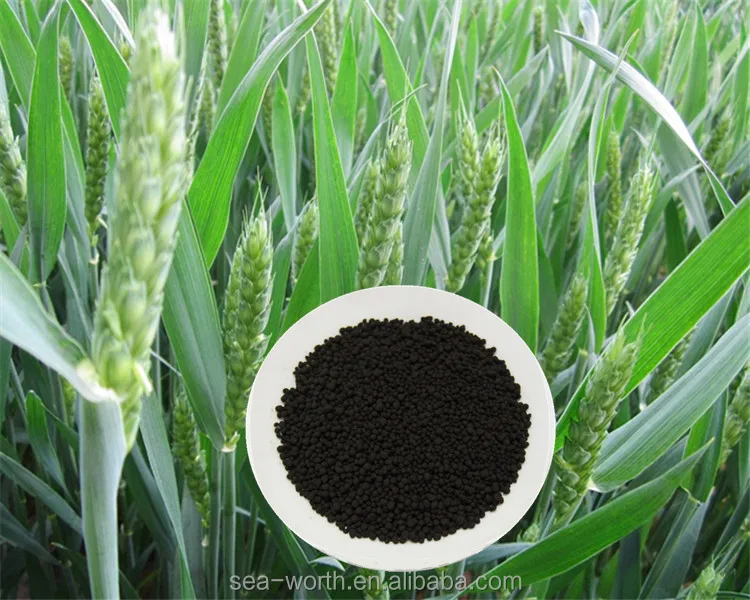 Eco-friendly Humic Acid Organic Fertilizers in India in Bulk