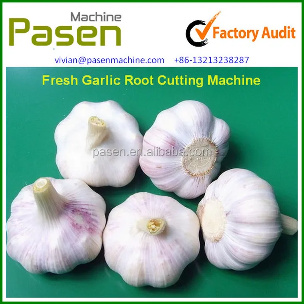 Small Garlic Stem Leaf and Root Cutting Machine Garlic Root Cutter Removing Machine