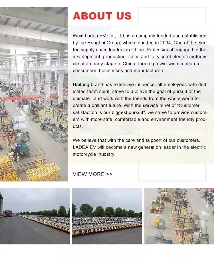 CKD SKD 10inch 600/800W 50km/h Speed Electric Scooter Lightweight Electric Motorcycle for Adults From China