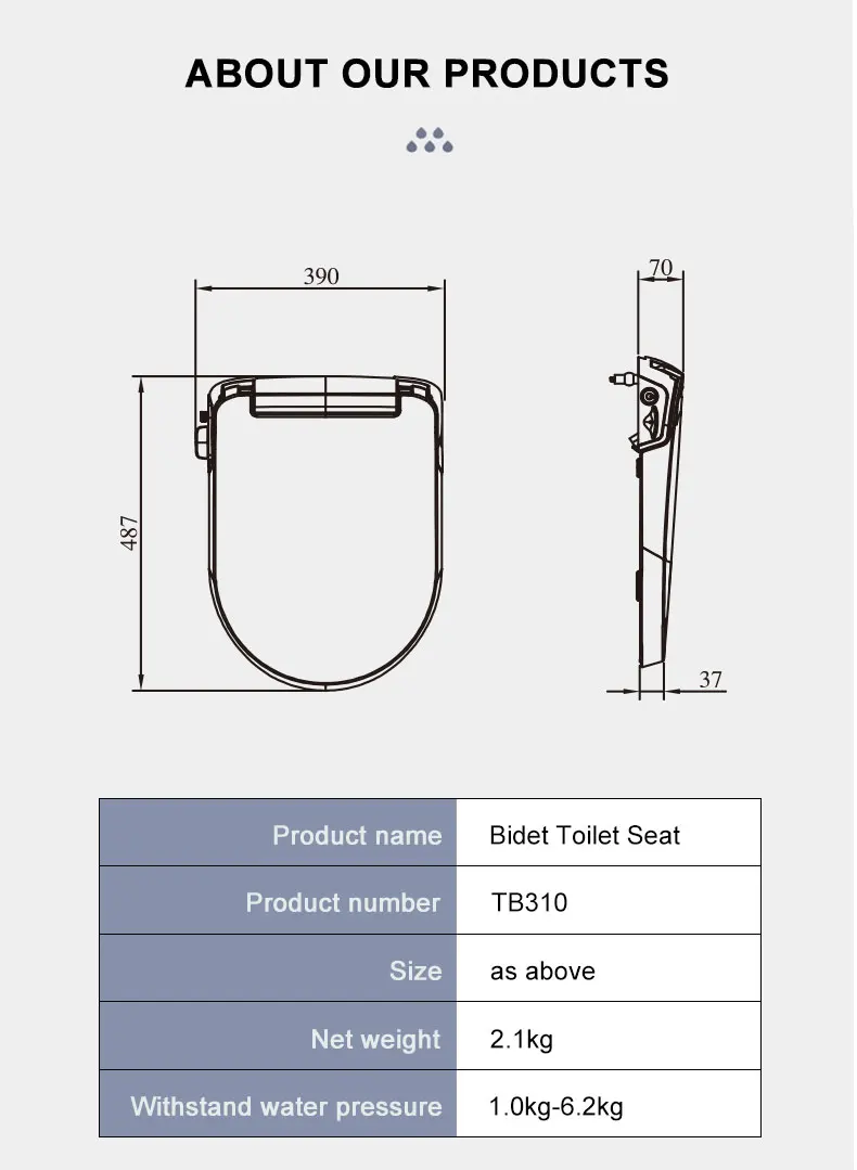 Custom D Type Non Electric Bidet Toilet Seat Cover Cold Water Toilet Lid New Design Luxury Dual Nozzle Bidet Seat manufacture