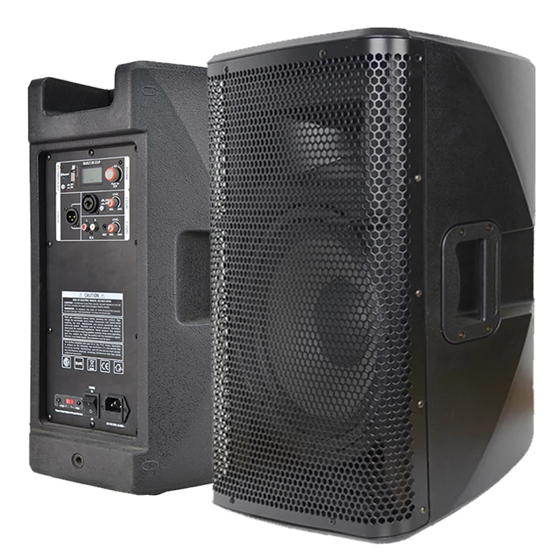 Accuracy Pro Audio CAO10DSP 10 Inch DSP Powered Speakers Home Party pa Active Portable Sound System Speaker Box