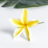 #1 Bianco&amp;giallo