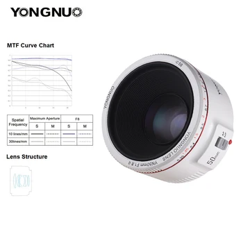 Yongnuo YN50MM F1.8 II White  AF/MF 0.35M Focus Distance Standard Prime Camera Lens for Canon DSLR Camera detail image