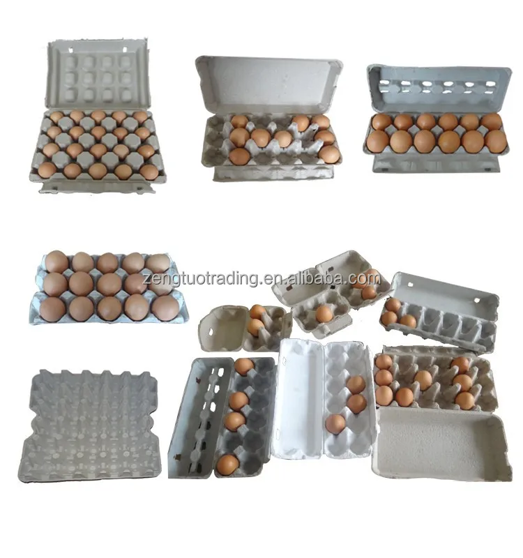 Small Investment Automatic Carton Mini Small Pulp Quail Paper Egg Tray Making Machine