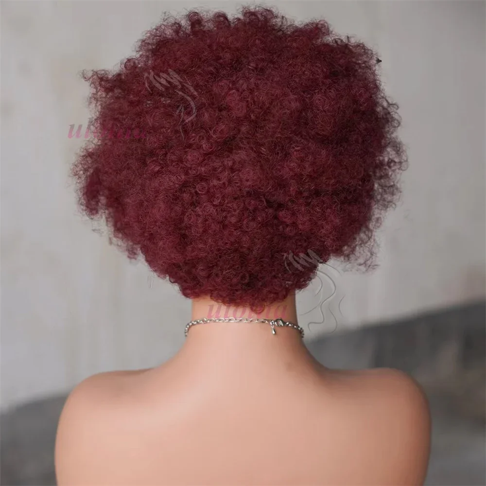 13x4 Lace Frontal Afro Krøllet Paryk 100% Brasiliansk Remy Hår 6 Ombre Highlights Bouncy Krøllet Paryk Ægte Hår Parykker med Fletninger_voghion.com