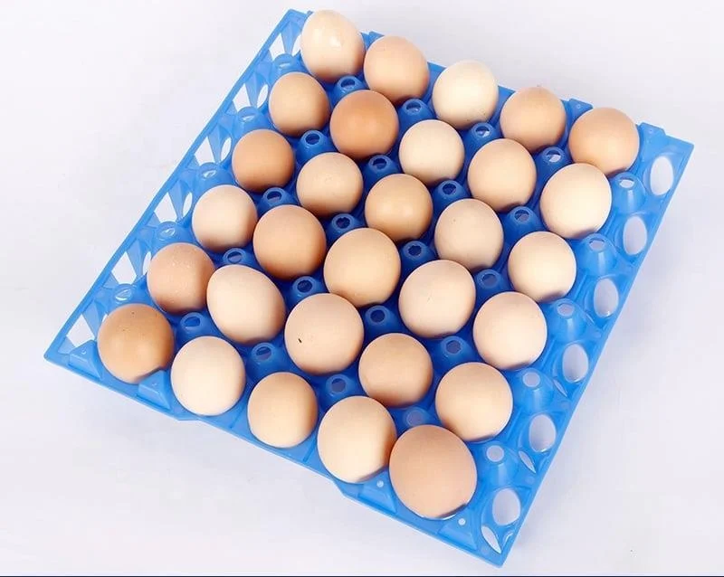 Oem/odm Custom China Manufacturing Custom Plastic Product Industrial Injection Plastic Egg Tray Shell Parts Injection Molding