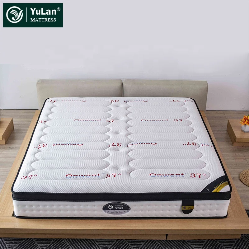 Tuft & Needle Mint Queen Mattress -Extra Cooling Adaptive Foam with Ceramic Gel Beads and Edge Support Mattresses