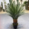 Green 93cm