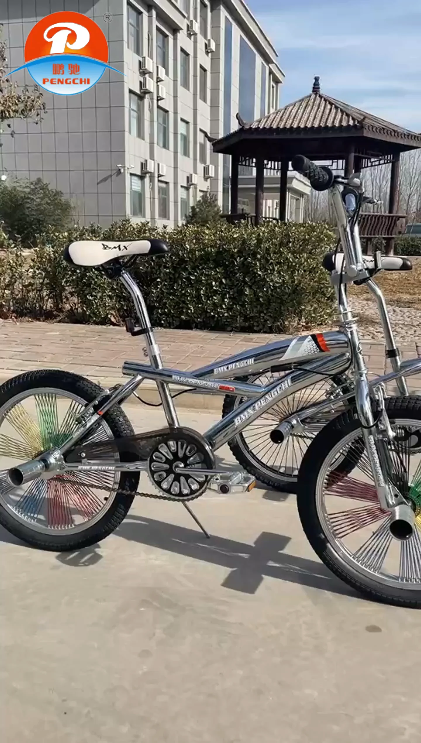 Bmxバイク20インチ大人bmxCPシルバーbicicletaフリースタイル