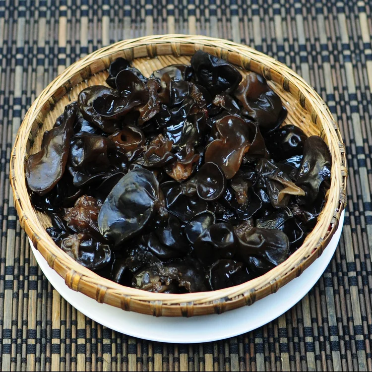 edible fungus