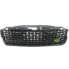 สีดำล้วน