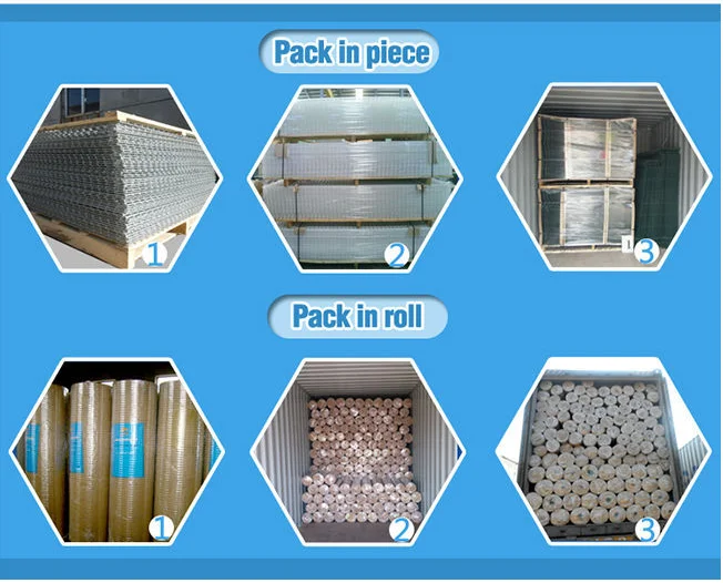 Hs Code For Pvc Coated Galvanized Wires Mesh/galvanized 12mmx25mm