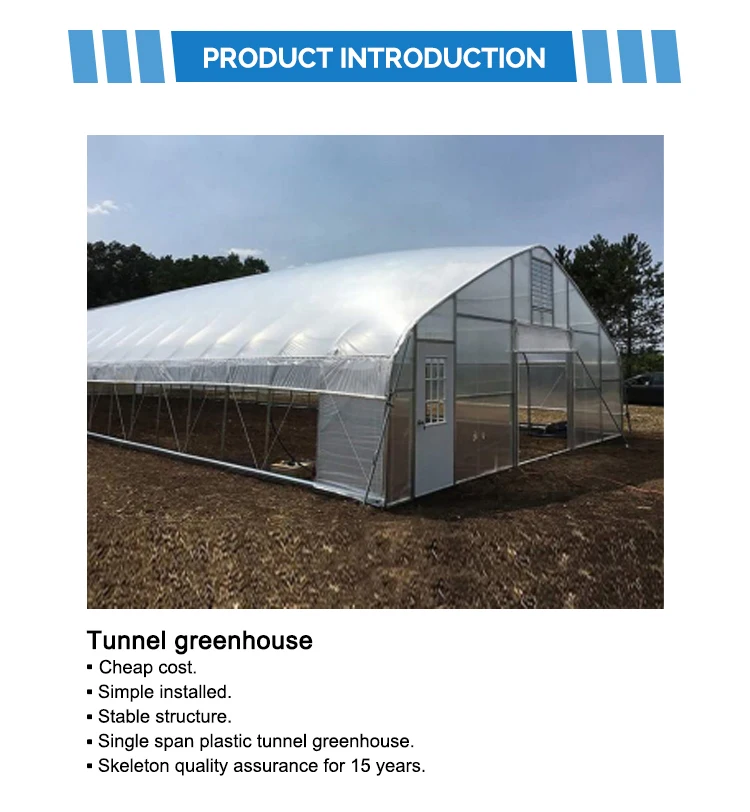 Tunnel Green House Manufacturers Automated Greenhouses Suppliers