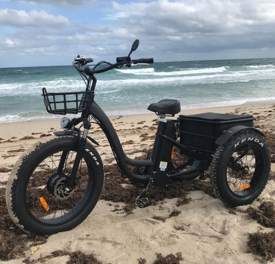 Pedal Assisted,E Trikes Electric Trike 