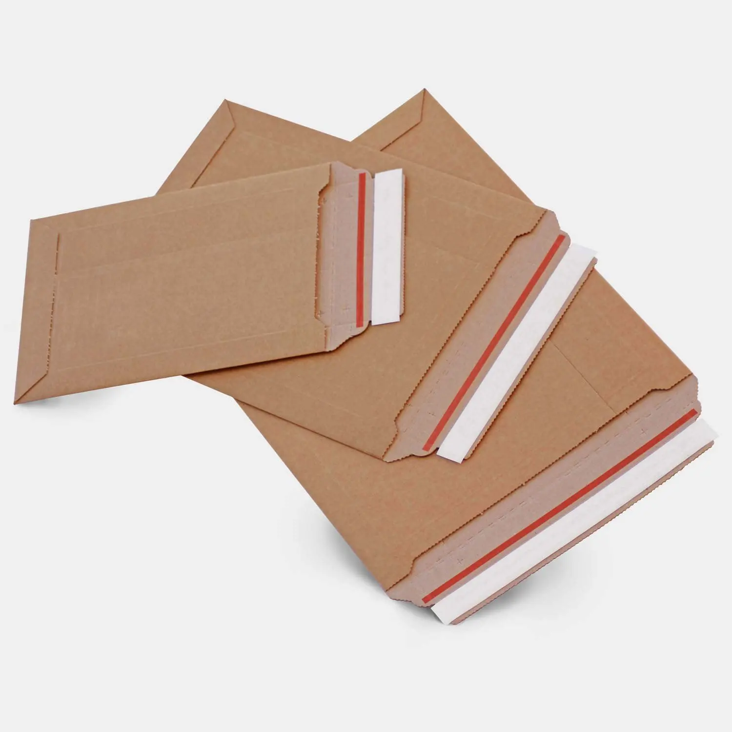 cardboard envelope 1.jpg