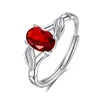 JH0073-5Garnet