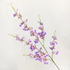 Viola chiaro