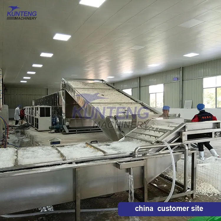 Food Processing Drying Machine Dry Fruit Processing Plant Marula Fruit Processing Equipment