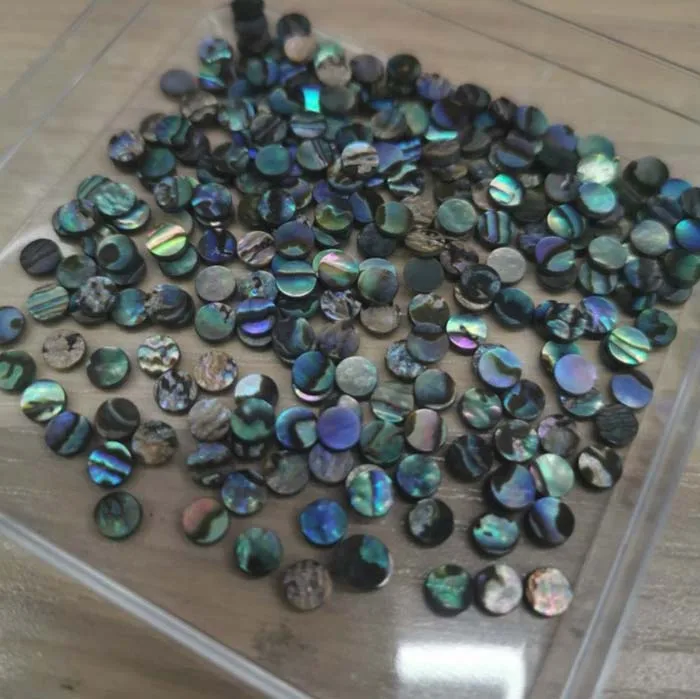 Natural Abalone Shell Small Round Inlay Flakes Paua Seashell Inlay Charm Jewelry