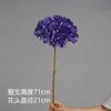 สีม่วงน้ำเงินเข้ม