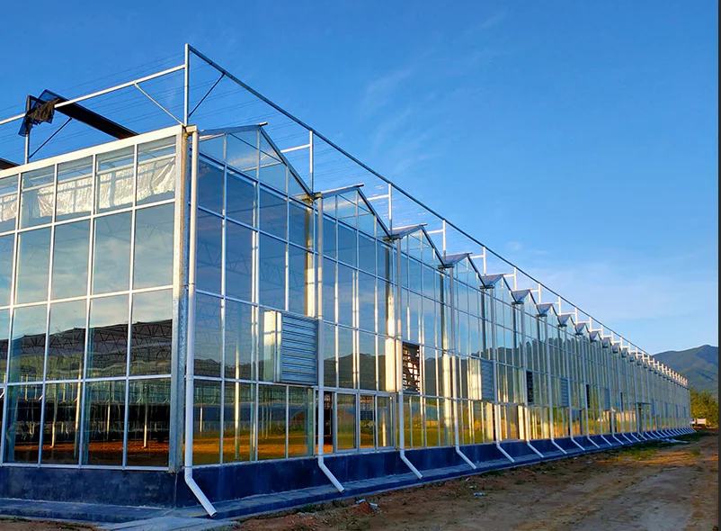 High Quality Intelligent Hydroponic System Glass Greenhouse Buy