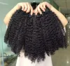 Kinky Curly