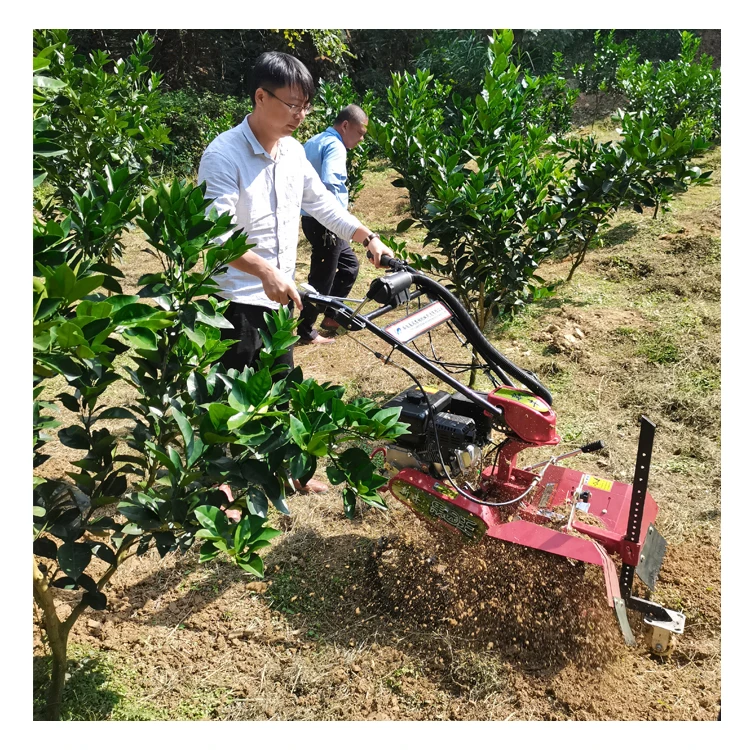 Easy Operation Professional Mini Power Tiller Power Weeder Rotavator Cultivator for Sale