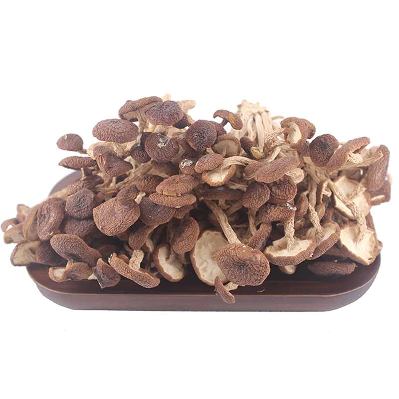 dried-agrocybe-aegerita-tea-tree-mushroom-natural-agrocybe-cylindracea