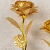 colorido dorado