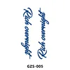 GZS-005