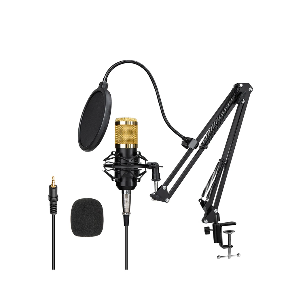 Multifunctional Stereo Cord Condenser Microphone