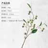 Green-long branch-one branch