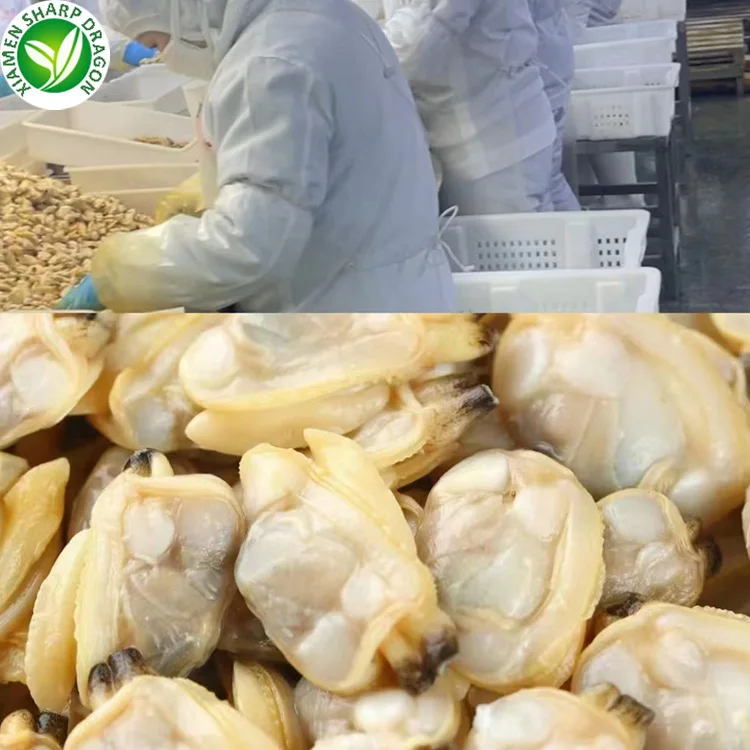 Frozen Clams Without Shell Frozen Short Neck Clam Meat Buy Clam Meat