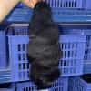Body Wave