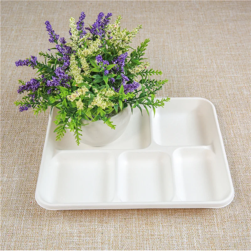 Compostable Sugarcane Clamshell Food Containers | Eco-Friendly Takeout Boxes