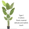 green Type C 220cm