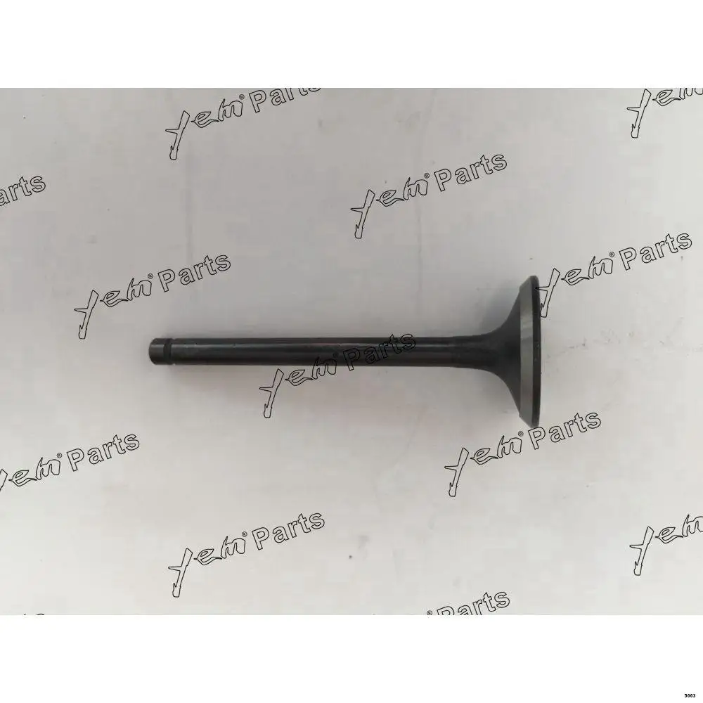 1DZ Inlet Valves Kit for Toyota