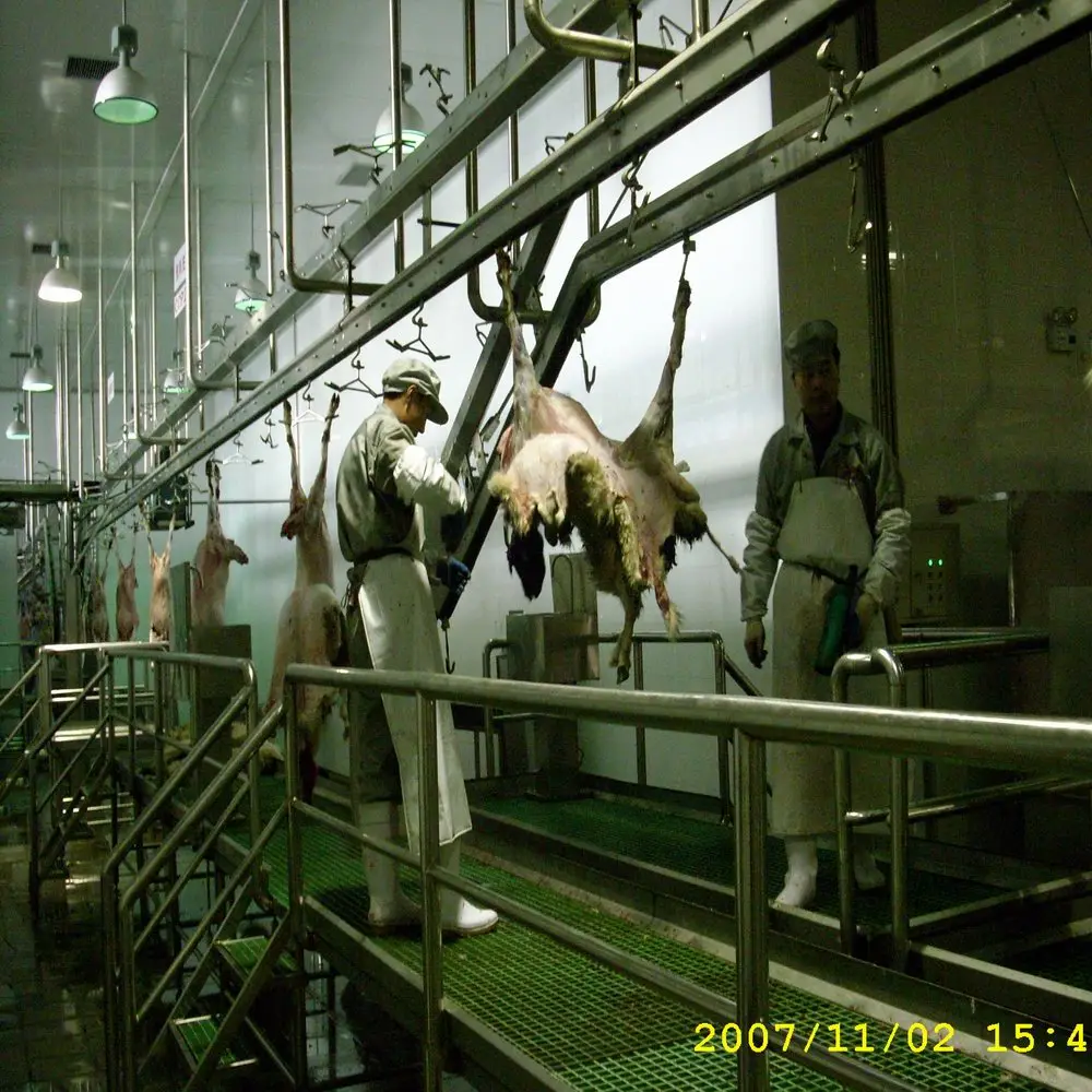 Complete set of halal mutton slaughtering machine for sheep slaughterhouse with meat cutting production line