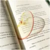 Marque-page pomme rouge